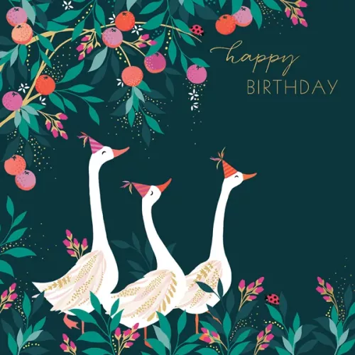 Geese & Fruit, Everyday Single Card