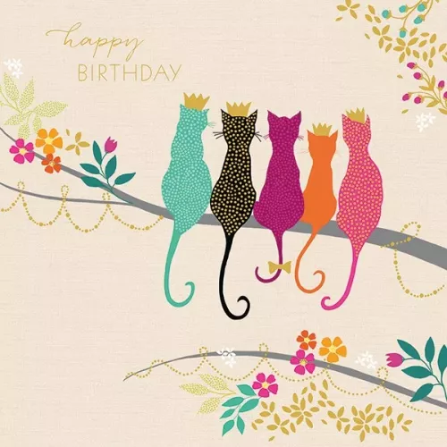 Five Crown Cats, Everyday Single Card