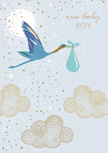 Baby Boy Stork, Everyday Single Card