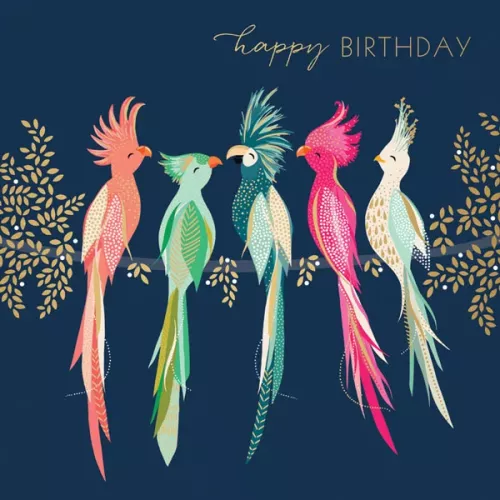 Cockatoos , Everyday Single Card