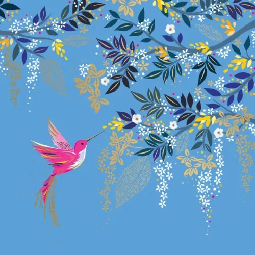 Hummingbird & Foliage, Everyday Single Card