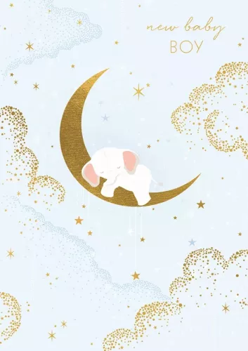 Baby Boy Elephant & Moon, Everyday Single Card