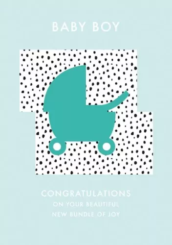 Baby Boy, Everyday Single Card