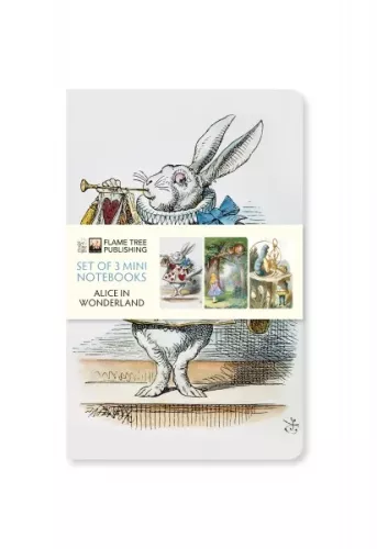 Alice in Wonderland Mini Notebook Collection