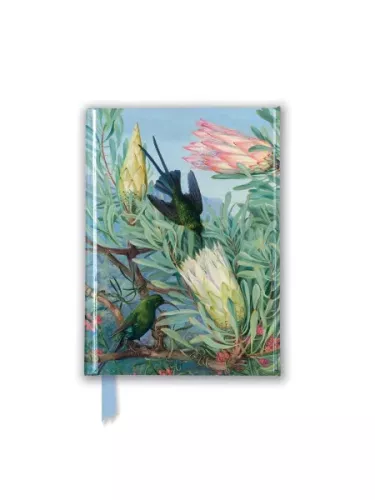 Kew's Marianne North: Honeyflowers and Honeysuckers, Foiled Pocket Journal