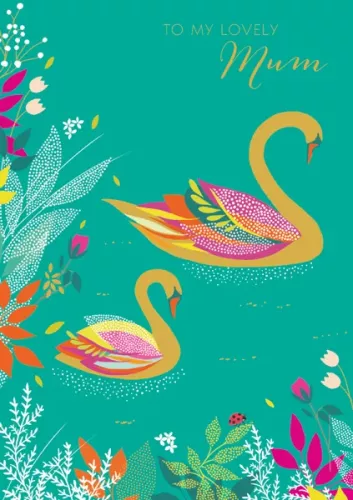 Swans, Greeting Card