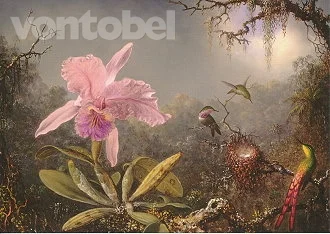 Cattleya Orchid and Three Hummingbirds (1871), Postcard