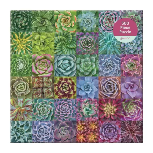 Succulent Spectrum, 500 piece family puzzle
