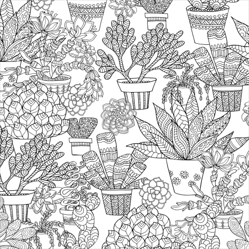 Color Bk Succulents