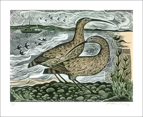 Two Curlews on the Deben