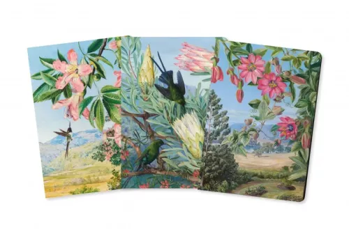 Kew Gardens' Marianne North Mini Notebook Collection