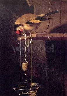 Fruit Still Life with Squirrel and Goldfinch (Detail) (c. 1669-1972), Postcard