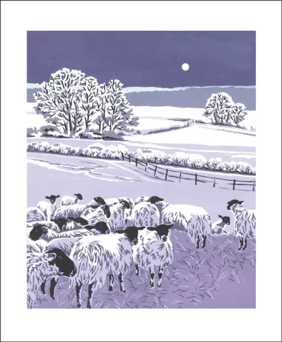 Flocks by Night