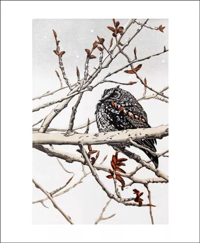 Waiting for Spring