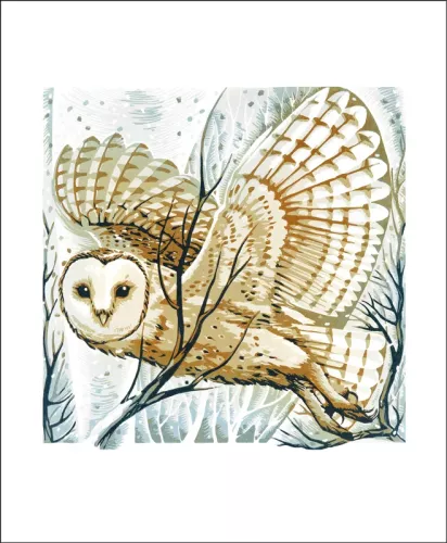Barn Owl, Winter Branches