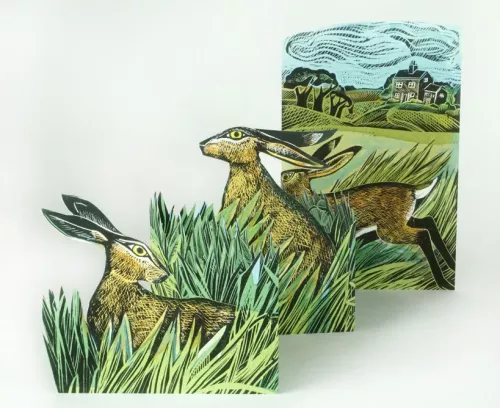 Hares and Open Fields