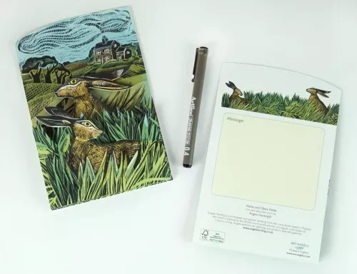 Hares and Open Fields