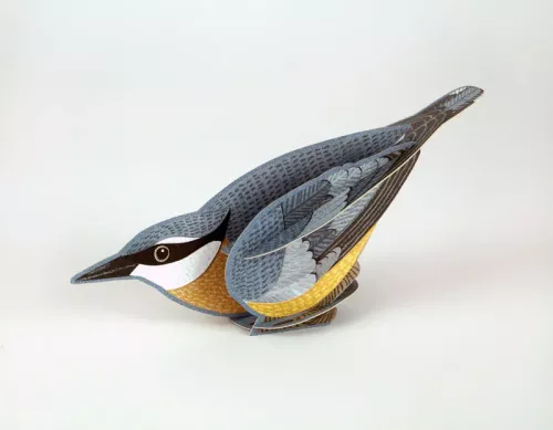 Pop-Out Nuthatch