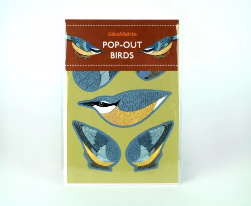 Pop-Out Nuthatch