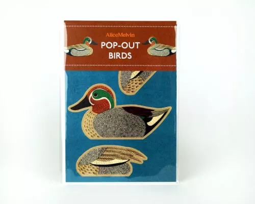 Pop-Out Teal