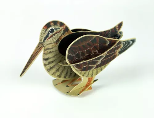 Pop-Out Woodcock