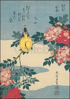Japanese Nightingale and Spray of Roses, Greeting Card