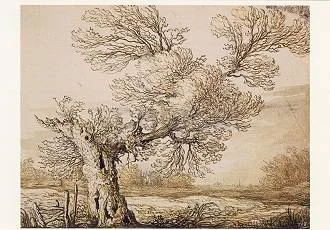 Landscape near Dordrecht, Postcard