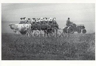 Return of the Benedictinians from Harvesting (1965), Postcard