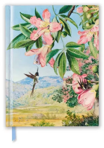 Kew Gardens: Foliage and flowers of a Chorisia by Marianne North , Blank Sketch Book