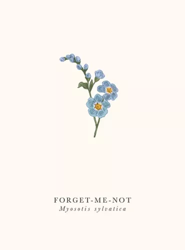Forget-Me-Not
