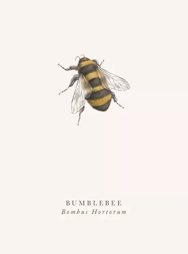 Bumble Bee