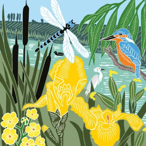 Kingfisher & Dragonfly, Greeting Card
