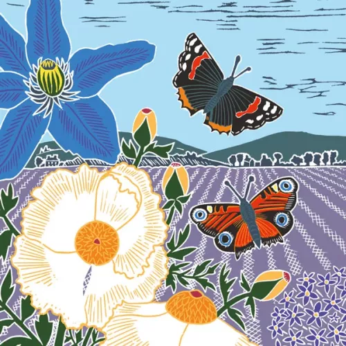 Meadow Butterflies