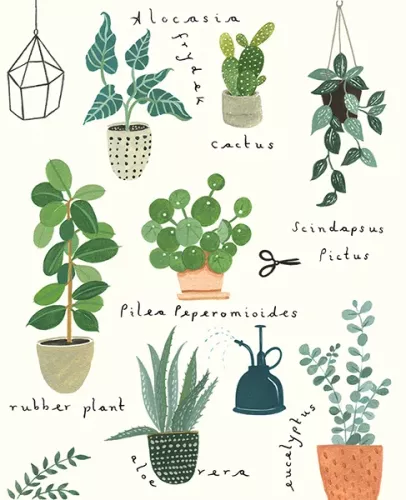 Houseplants, Everyday Single Card