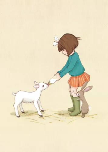 Belle's lamb, Postcard