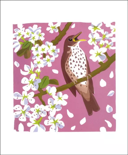 A Rare Meadow, Greeting Card