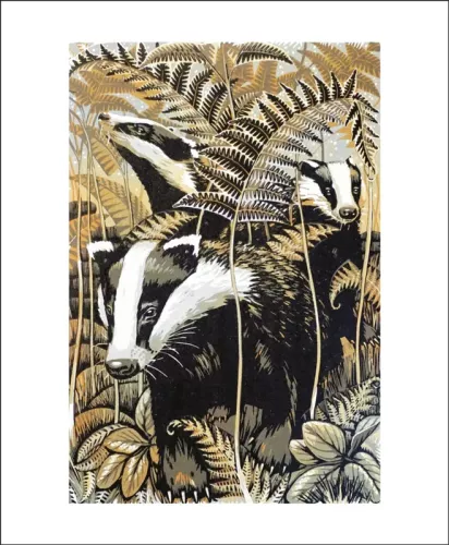 Badgers