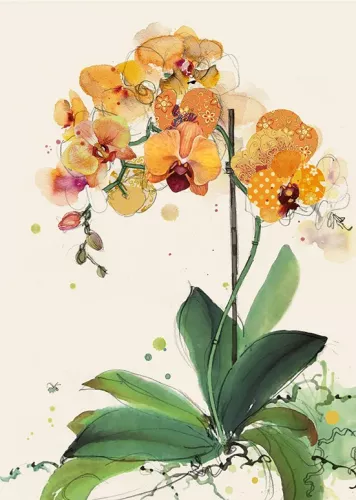Orange Orchids, Greeting Card
