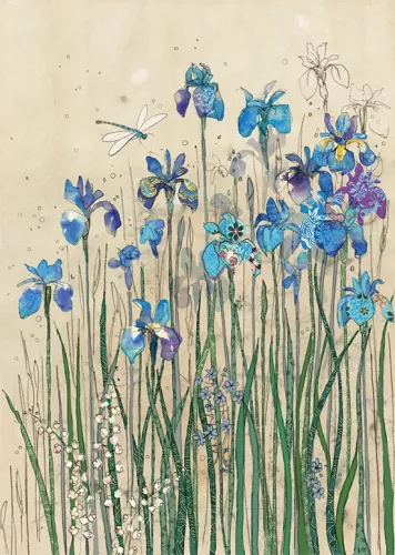 Iris Boarder, Greeting Card