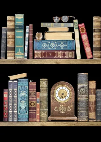 Bookshelves, Greeting Card