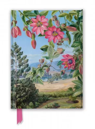 Kew Gardens' Marianne North: View in the Brisbane Botanic Garden, Foiled Journal