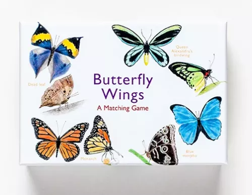Butterfly Wings, A Matching Game
