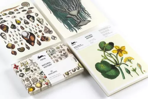 Natural History, C6 Envelopes