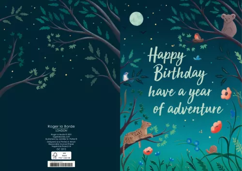 Birthday Adventure Greeting Card