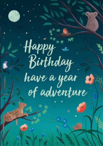 Birthday Adventure Greeting Card