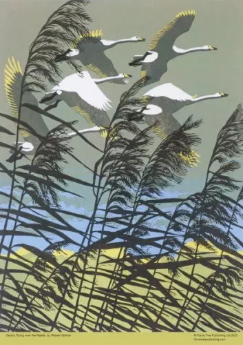Robert Gillmor: Swans Flying over the Reeds (500 pieces) Puzzle