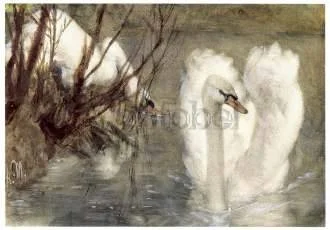 Two Swans (1868), Postcard