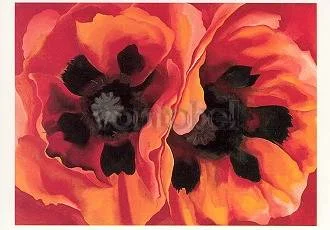 Oriental Poppies (1927), Postcard