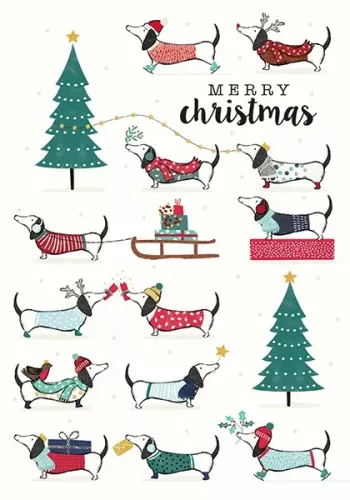 Many Franks, Xmas Single Card