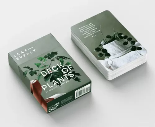 Leaf Supply Deck of Plants